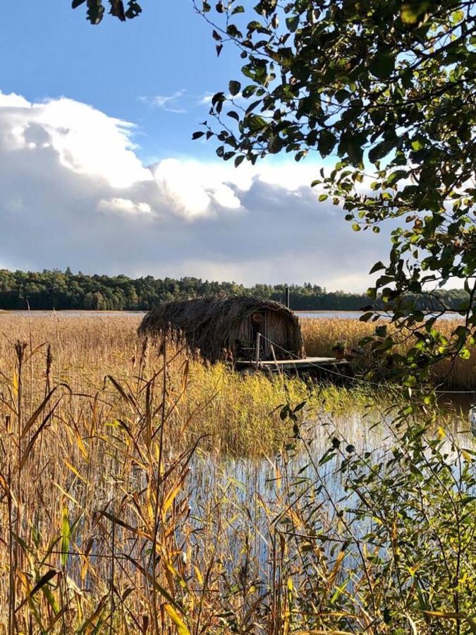 Bebru Maja - Beaver House Usma Kültér fotó