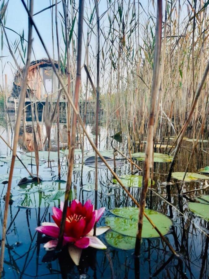 Bebru Maja - Beaver House Usma Kültér fotó