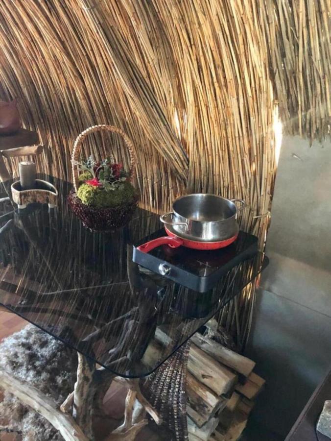 Bebru Maja - Beaver House Usma Kültér fotó